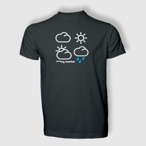 weather_mouse-grey_front